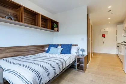 Studio at Western Way, image 1 of 35