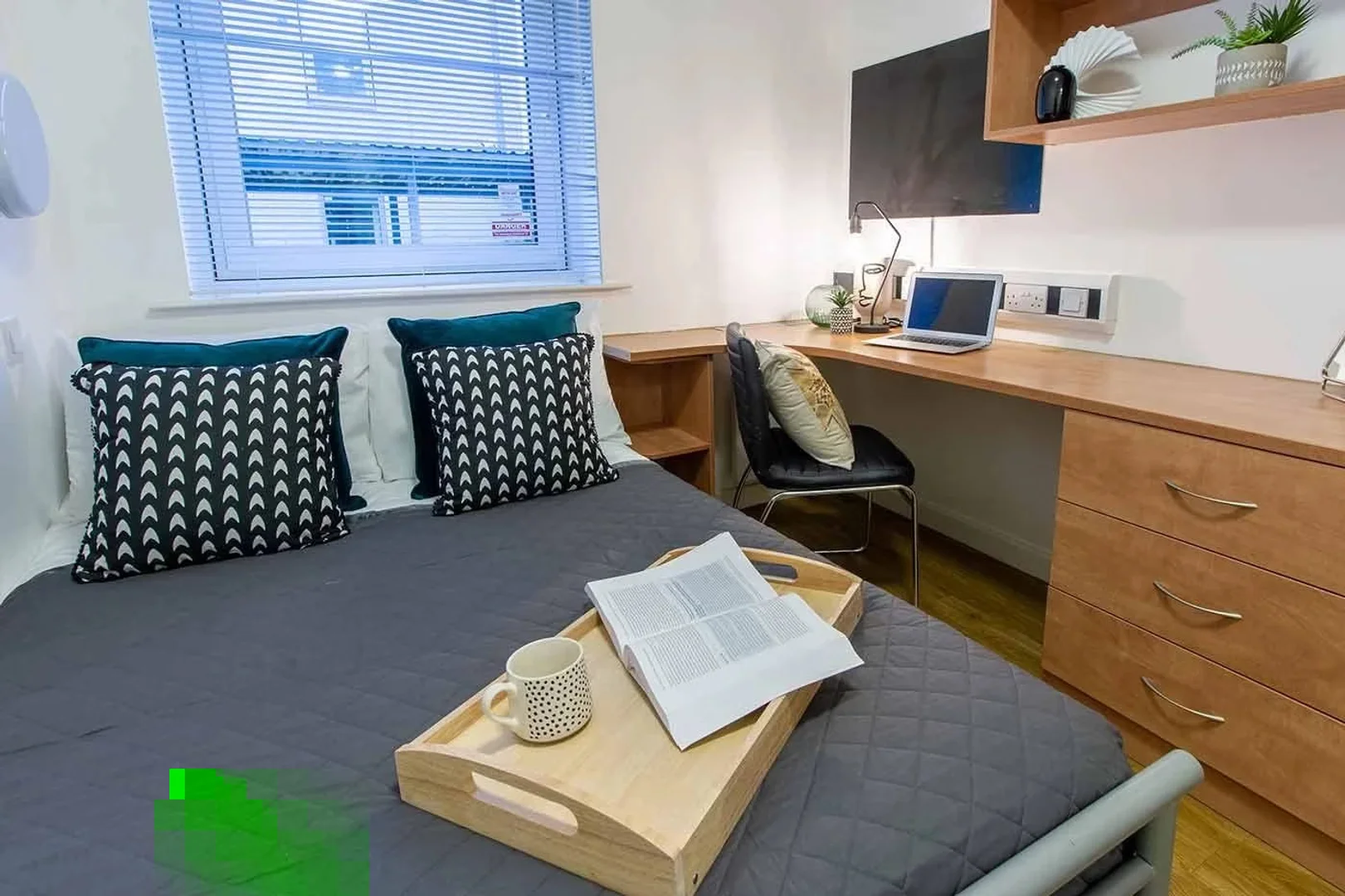 Budget-friendly student room close to campus in 