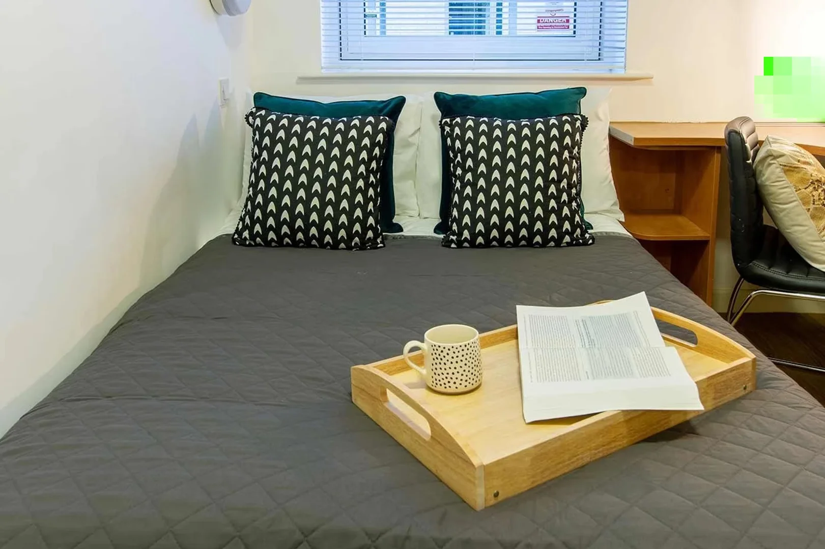 Affordable room for students with ample lighting in 