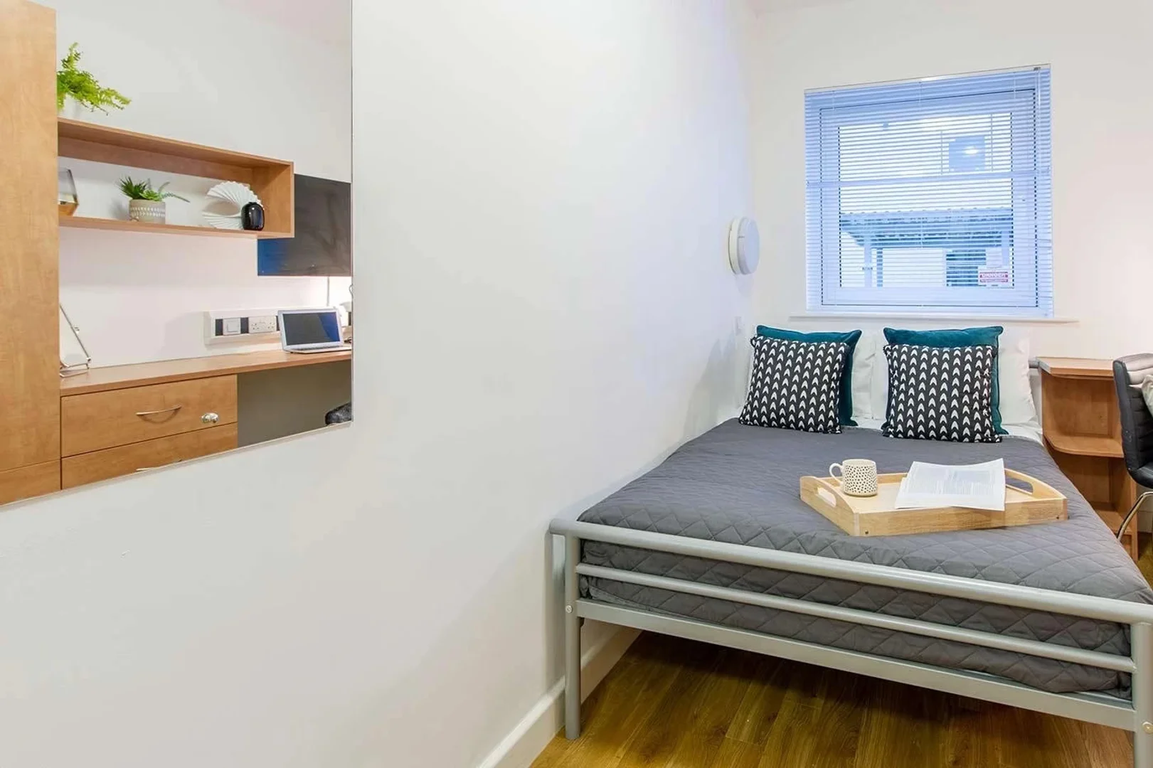 Affordable room for students with ample lighting in 