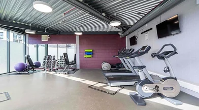 Estudio en Seaford Road, imagen 20 de 49