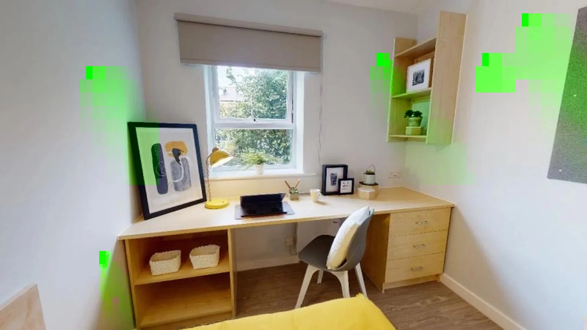 Affordable room for students with ample lighting in 
