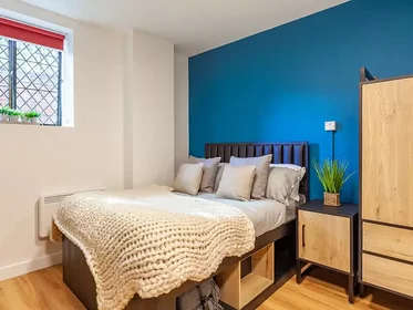Monolocale in Springfield Mount, immagine 35 di 49