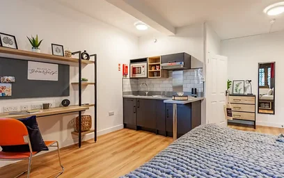 Monolocale in Springfield Mount, immagine 38 di 49