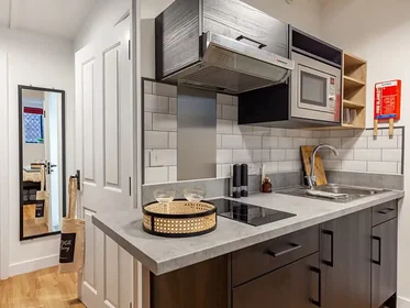 Monolocale in Springfield Mount, immagine 40 di 49