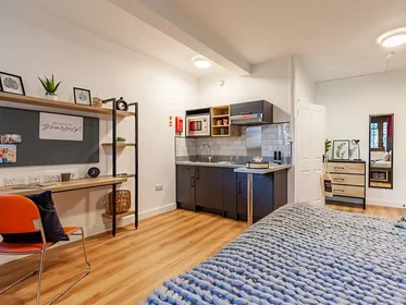 Monolocale in Springfield Mount, immagine 42 di 49