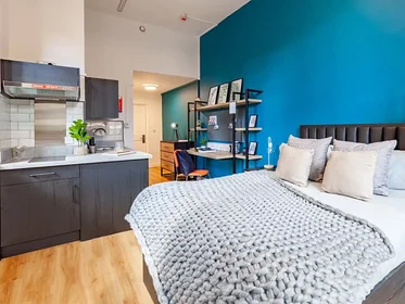Monolocale in Springfield Mount, immagine 43 di 49