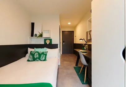 Stanza privata in Dorset Street Upper, immagine 1 di 10