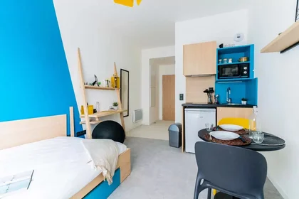 Monolocale in Allée Marie Marvingt, immagine 6 di 9