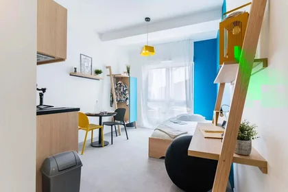 Monolocale in Allée Marie Marvingt, immagine 7 di 9