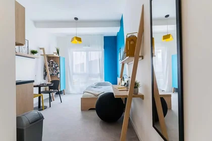 Monolocale in Allée Marie Marvingt, immagine 8 di 9