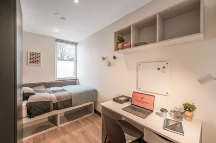 Stanza privata in Prussia Street, immagine 1 di 10