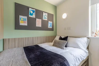 Privatzimmer in der Cook Street, bild 13 von 37