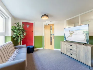 Privatzimmer in der Cook Street, bild 26 von 37