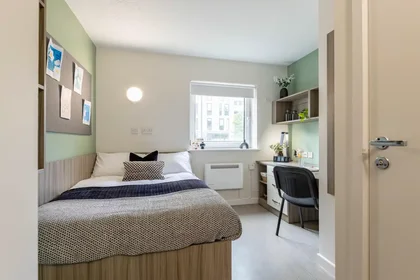 Privatzimmer in der Cook Street, bild 9 von 37