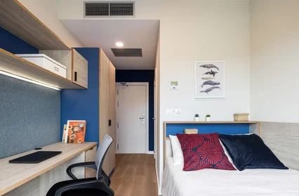Quarto privado em Avenida del Editor Ángel Caffarena, imagem 1 de 10