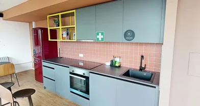 Studio in der Halbergstraße, bild 48 von 49