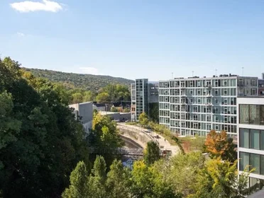 Studio at South Cayuga Street, image 7 of 14