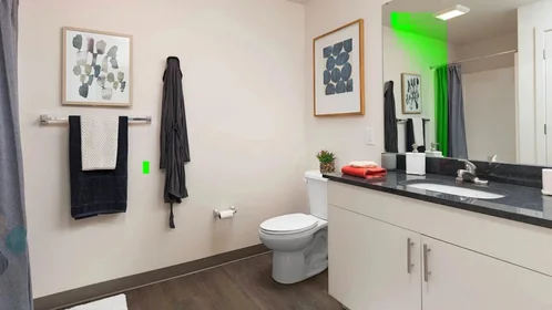 Chambre privée à Forbes Avenue, image 8 de 29
