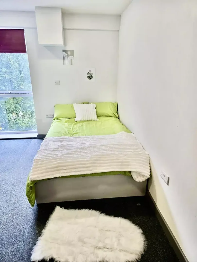 Chambre d'étudiant confortable et spacieuse dans 