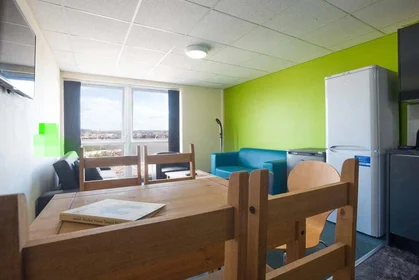 Chambre privée à Stoke-on-Trent, image 5 de 14