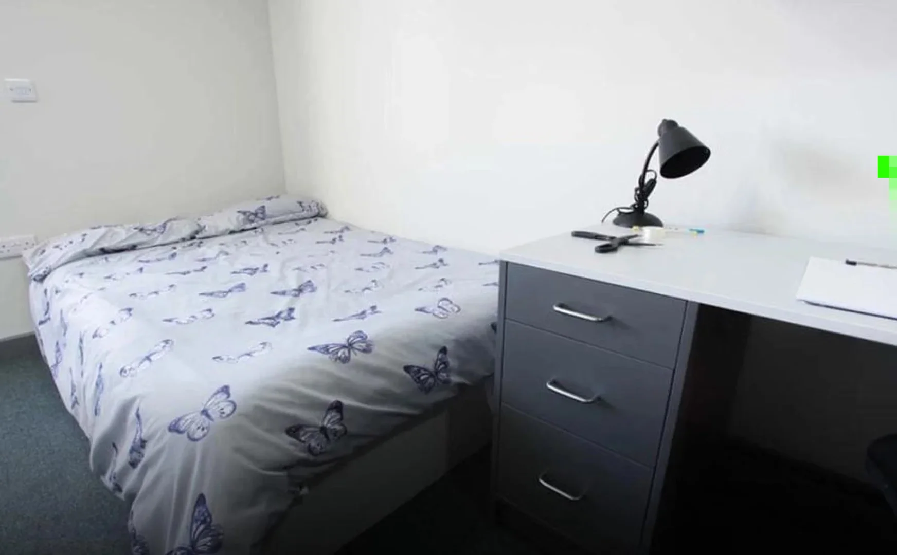 Comodo monolocale per studenti a 