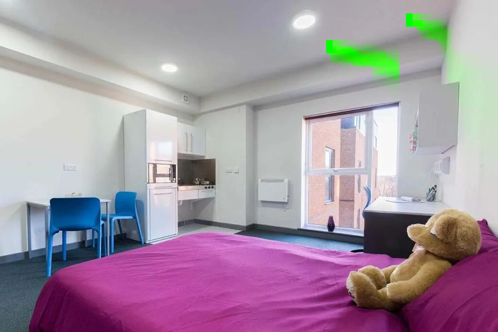 bölgesindeki öğrenciler için ideal kompakt stüdyo daire