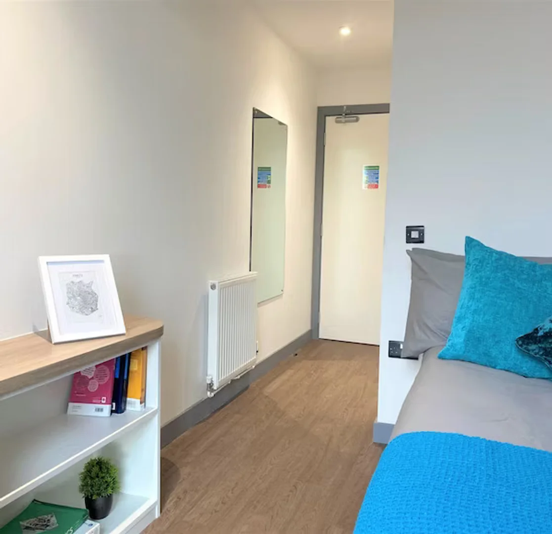 Budget-friendly student room close to campus in 
