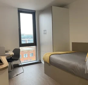 Stanza privata in Great Patrick Street, immagine 1 di 10