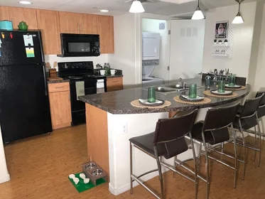 Stanza privata in East Apache Boulevard, immagine 14 di 22