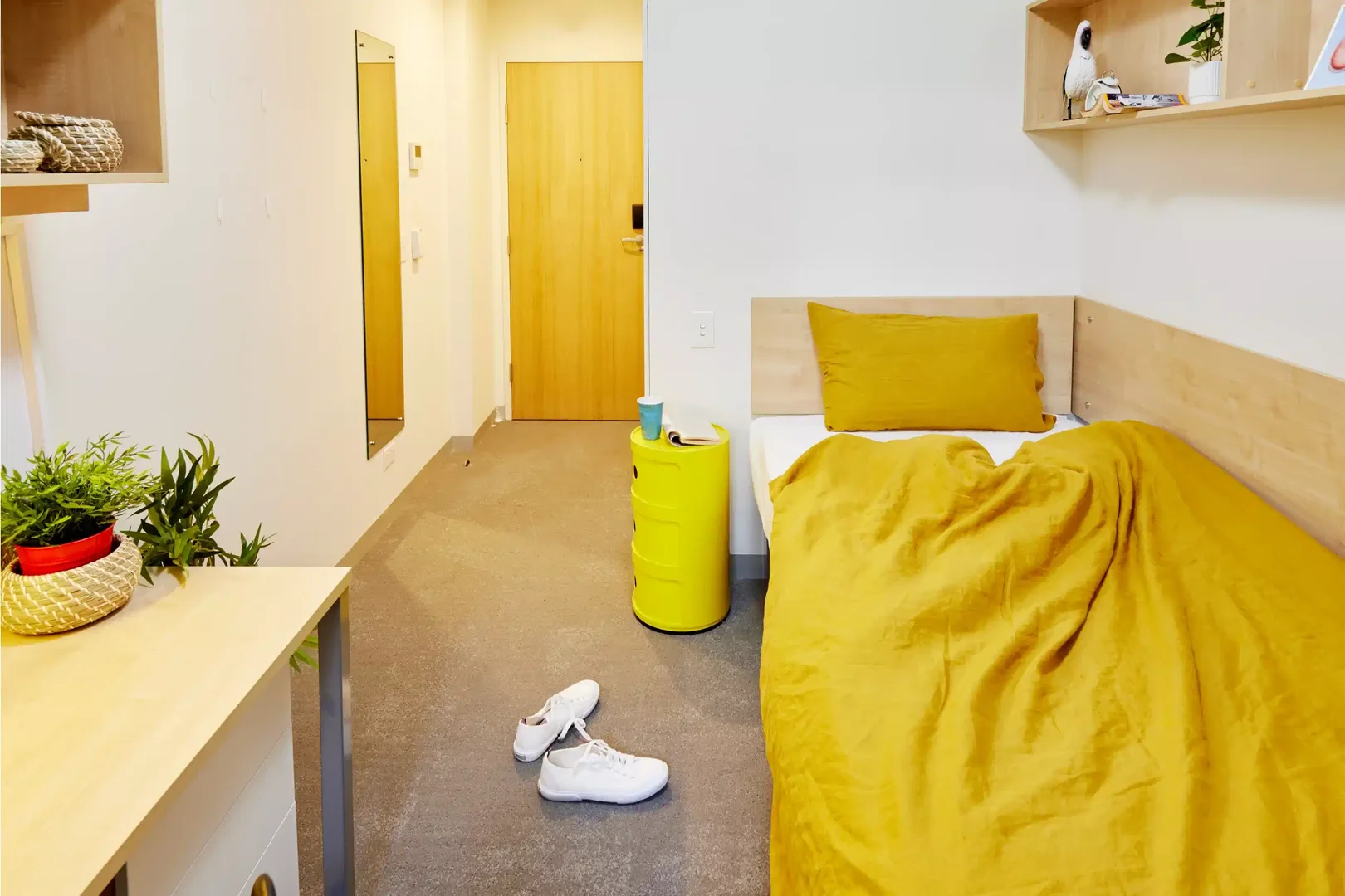 Chambre d'étudiant économique avec emplacement pratique dans