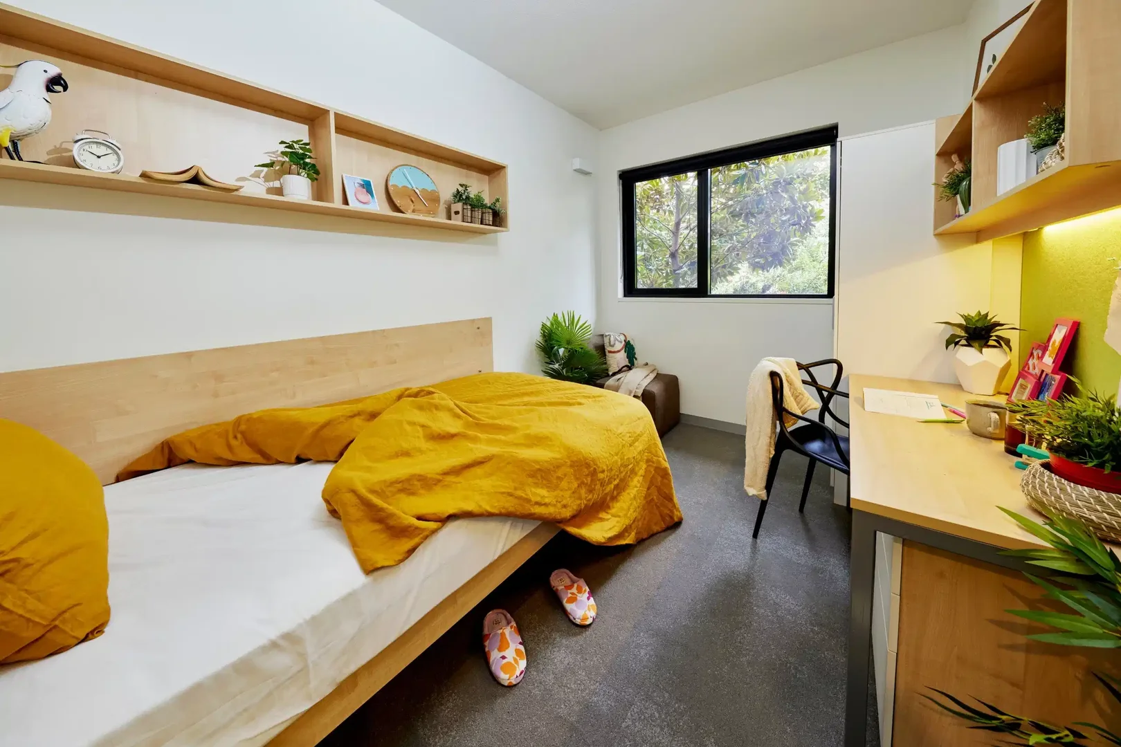 Chambre abordable pour les étudiants avec un bon éclairage dans