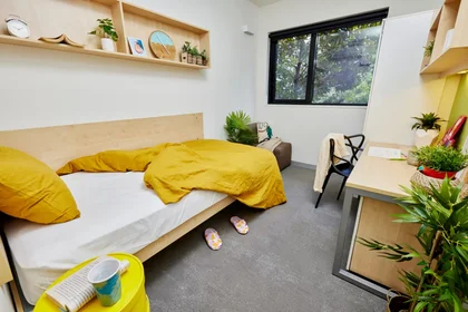 Private room at Wattle Street, image 1 of 10