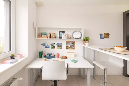 Studio at Adalbertstraße, image 14 of 49