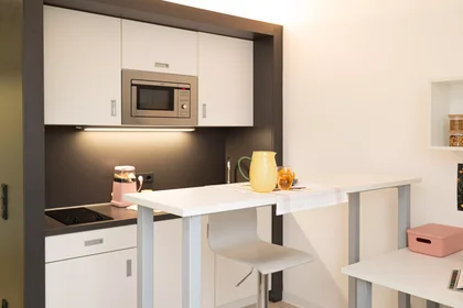 Monolocale in Adalbertstraße, immagine 9 di 49