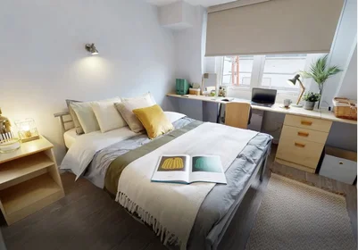 Chambre privée à Newarke Street, image 1 de 49