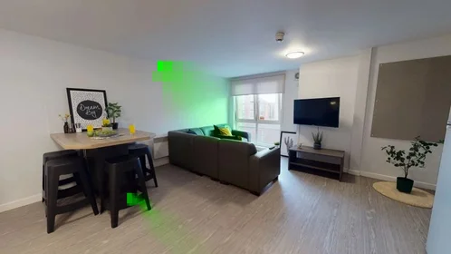 Chambre privée à Newarke Street, image 4 de 49