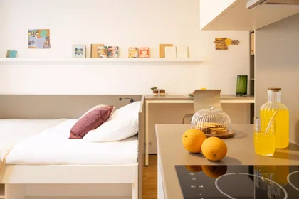 Monolocale in Mainzer Landstraße, immagine 15 di 49