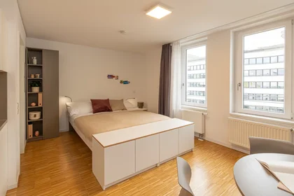 Studio at Mainzer Landstraße, image 1 of 10