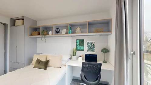 Habitación privada en Castle Boulevard, imagen 3 de 22