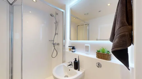 Habitación privada en Castle Boulevard, imagen 8 de 22