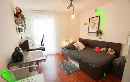 Studio à Rue Lortet, image 1 de 16