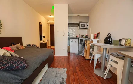 Studio à Rue Lortet, image 5 de 16