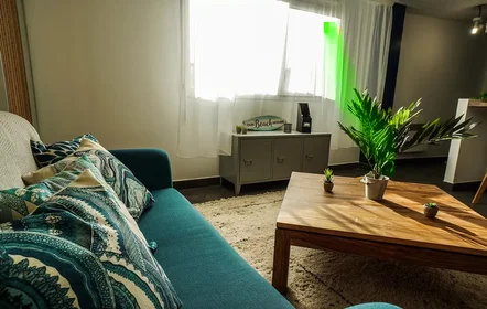 Studio à Rue Lortet, image 7 de 16