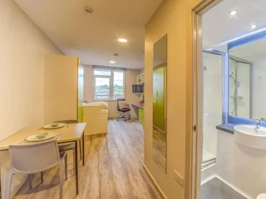 Studio in der Cheeke Street, bild 29 von 32