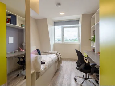 Privatzimmer in der Cheeke Street, bild 2 von 33