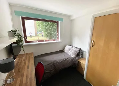 Stanza privata in Forest Road, immagine 1 di 10
