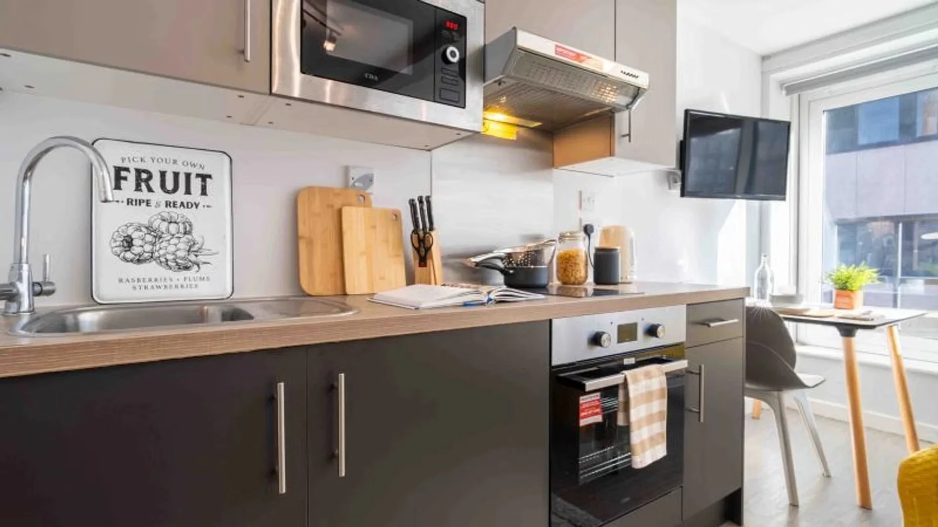 Estudio compacto ideal para estudiantes en 