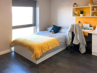 Stanza privata con letto matrimoniale {area}