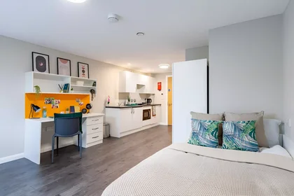 Stüdyo daire konumu Devon Street, 1 49 görüntüsü